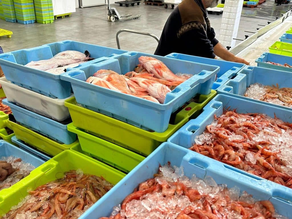 La lonja de Motril ha registrado ventas superiores a las 478 toneladas durante el primer semestre del año