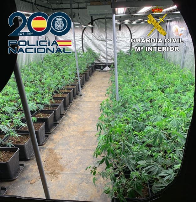 La Policía Nacional y la Guardia Civil desarticulan varios cultivos indoor de marihuana en Granada