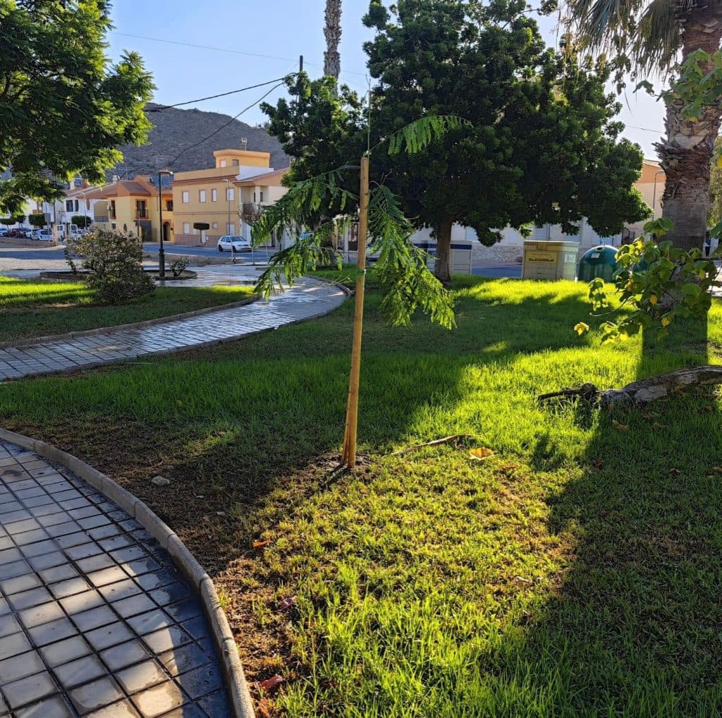 La ELA de Carchuna – Calahonda procede a la siembra de árboles, baldeado de calles y desbroce de caminos rurales
