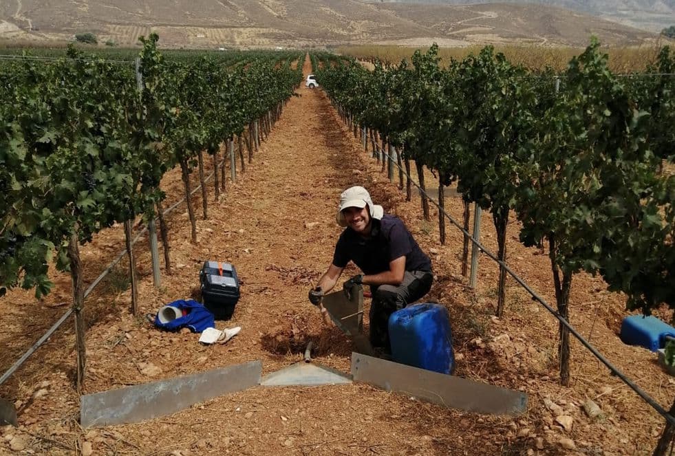 Investigadores trabajan con IA y experimentación en campo para crear una herramienta que gestione el suelo en el viñedo