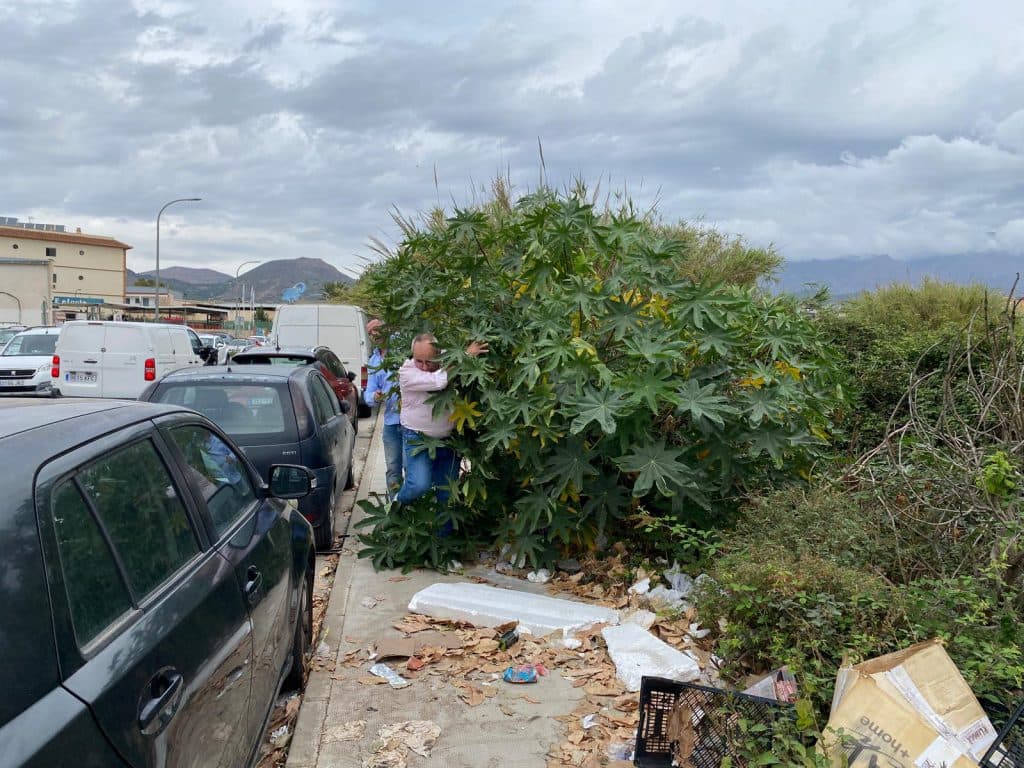 AxSí denuncia la acumulación de basura y restos de vegetación en el polígono El Vadillo