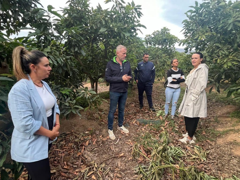 Jóvenes agricultores de Huelva se forman en Castell de Ferro con un programa para acelerar el relevo generacional