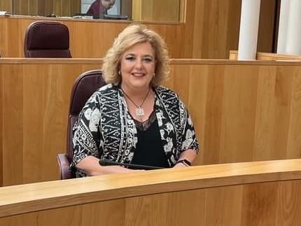 El PSOE propone a la Diputación que estudie la creación de parques de bomberos para mejorar la respuesta en el Valle, Alpujarra y Poniente