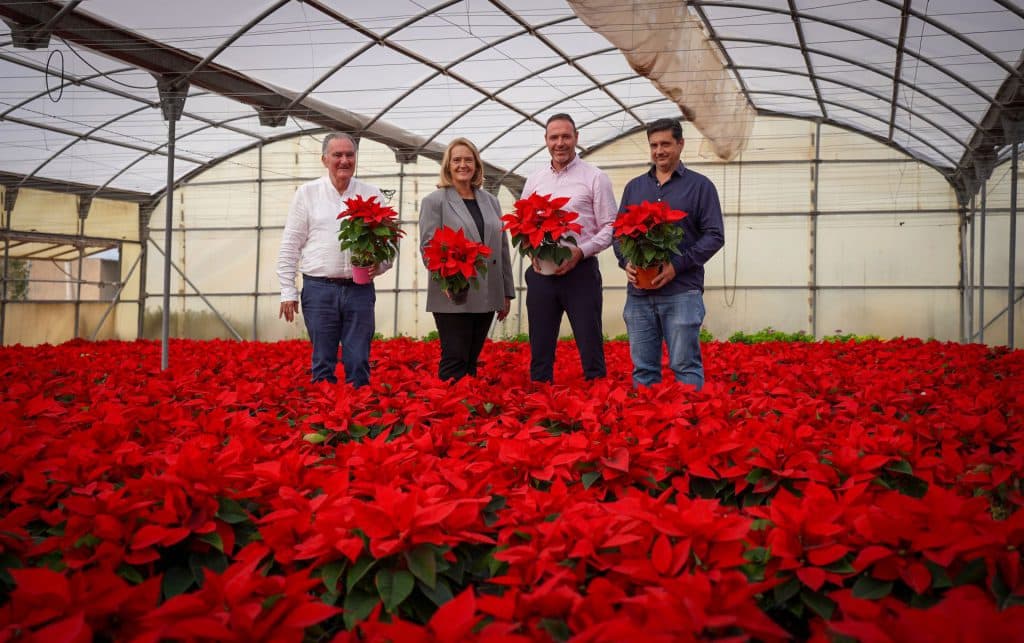 Unos 9.000 pascueros adornarán Motril de cara a la Navidad 2025