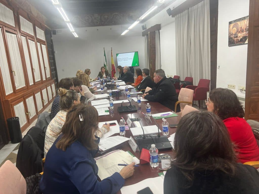 La Comisión Provincial contra la Violencia de Género analiza las actuaciones impulsadas en 2024