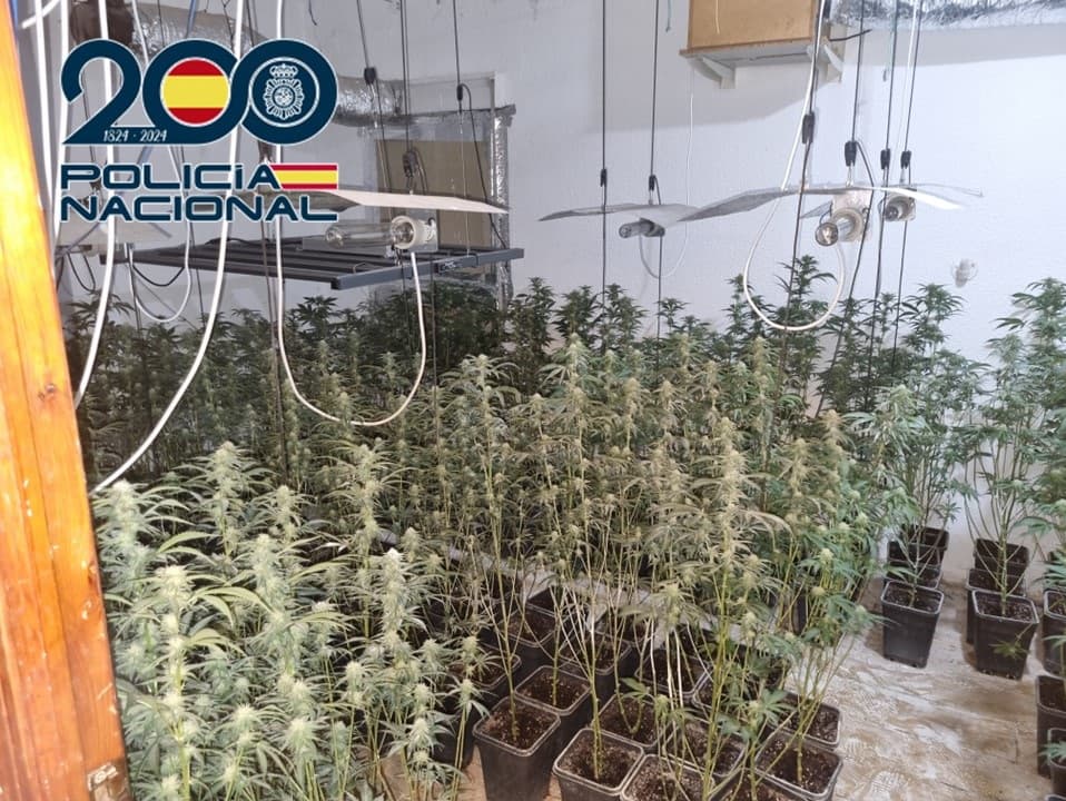 Se realizan en noviembre 25 operaciones contra el tráfico de drogas en Granada y Motril que se saldan con 39 detenciones y más de 5.550 plantas de marihuana incautadas