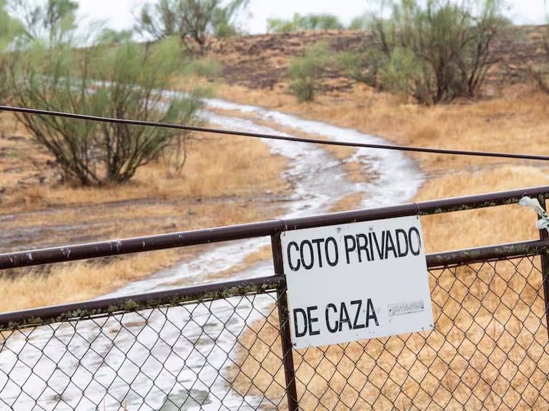 Muere en un coto de Ciudad Real el hijo de un conocido notario de Granada
