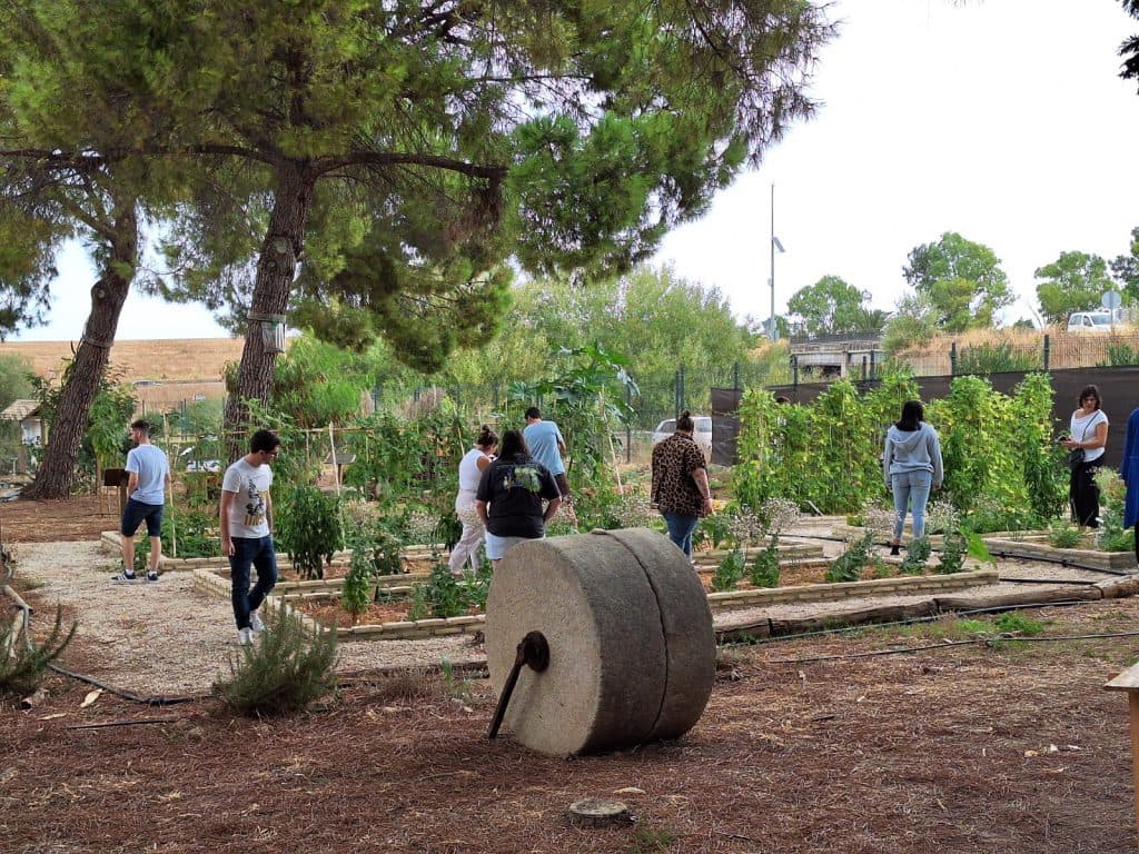 Más de 800 andaluces han participado en las jornadas ‘Tu huerto, tu salud, tu planeta’