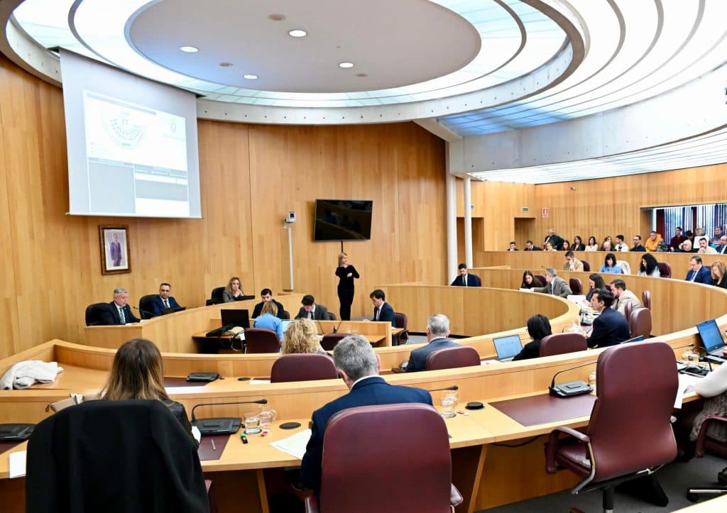 La institución provincial insta al Gobierno y a la Diputación de Jaén a sumarse a las acciones para mejorar la conectividad del Aeropuerto Federico García Lorca Granada-Jaén