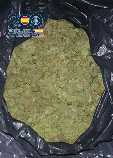 La Policía Nacional detiene en Granada a un individuo con cerca de 300 gramos de cogollos de marihuana en una mochila