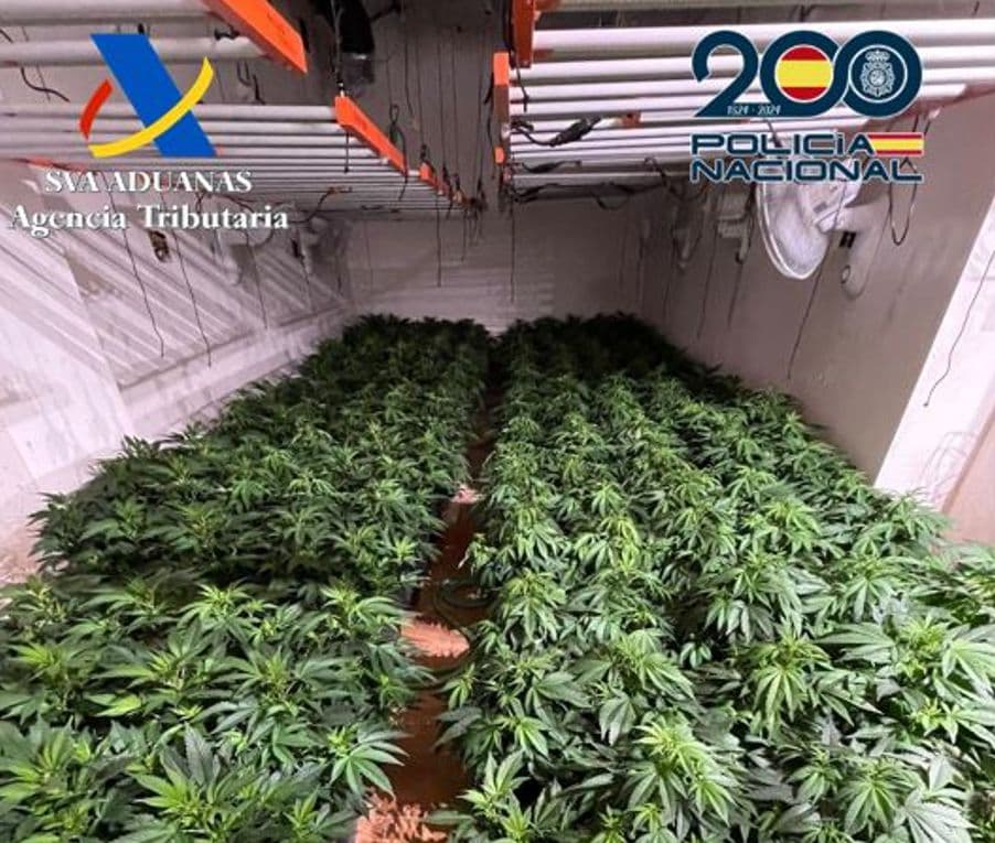 La Policía Nacional realiza en diciembre 17 operaciones contra el tráfico de drogas en Granada y Motril que se saldan con 47 detenciones y más de 7.180 plantas de marihuana incautadas
