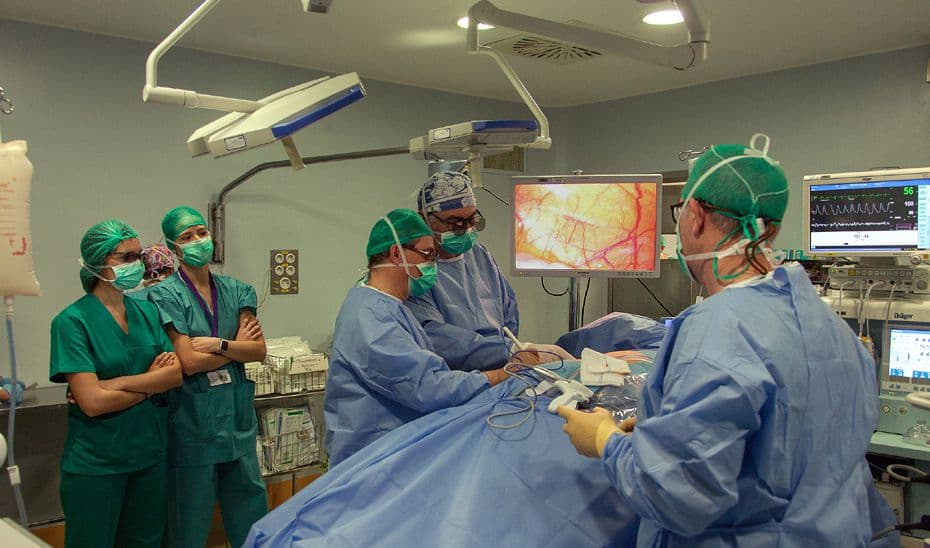 La provincia de Granada cierra 2024 con un total de 140 trasplantes de órganos, un 36% más que en 2023