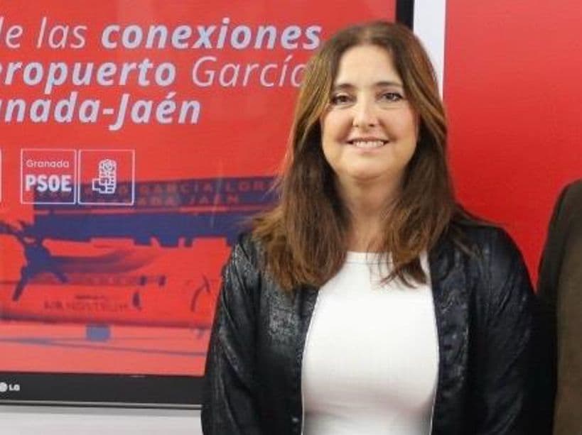 El PSOE pide al presidente de la Diputación (PP) que aproveche FITUR para «reflotar el aeropuerto y apoyar mejor la promoción de los municipios»