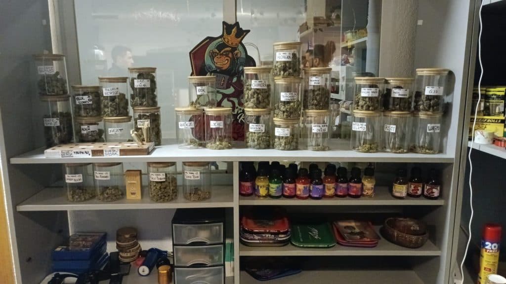 Desmantelada una plantación “indoor” con 1.440 plantas de marihuana en la zona del Triunfo de Granada