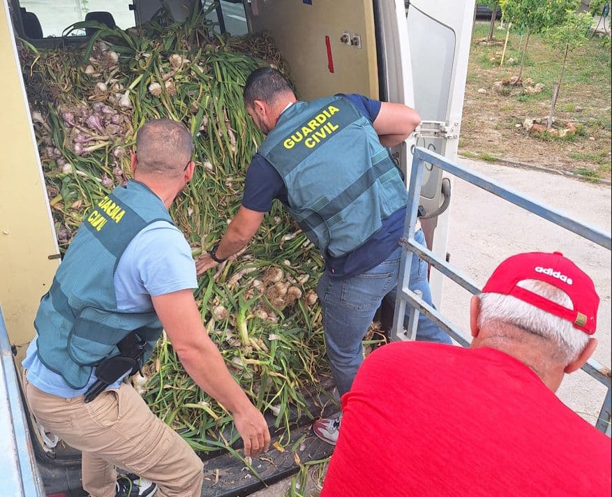 La Guardia Civil esclarece el robo de 2.000 kilos de ajos en Huétor Tájar gracias a la colaboración ciudadana