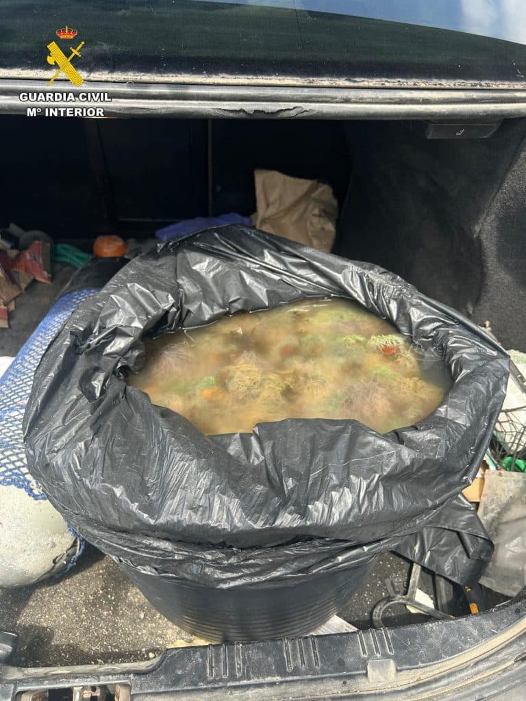 Guardia Civil pone a disposición judicial a dos varones sorprendidos con 30 kg. de anémonas en una playa de La Rábita