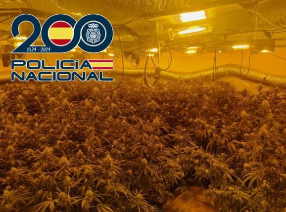 La Policía Nacional desmantela un garaje en la periferia de Granada con una plantación “indoor” de más de 420 plantas de marihuana