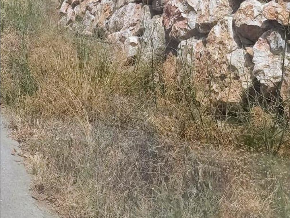 El Partido Popular de Molvízar exige que se desbrocen los caminos rurales