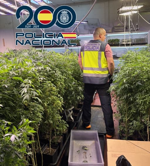 La Policía Nacional realiza en junio 10 operaciones en Granada y Motril que se saldan con 31 detenciones, cerca de 13.500 plantas de marihuana, más de 2.000 kilos de hachís y casi 9 kilos de drogas de síntesis