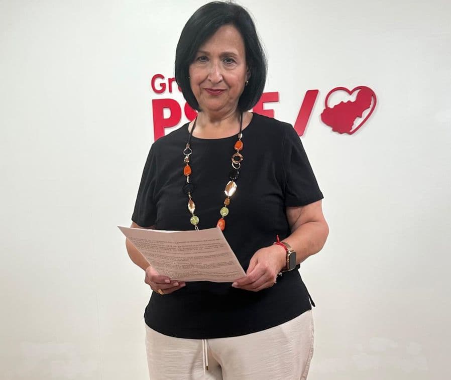 El PSOE denuncia el “bloqueo” en la gestión de la Dependencia en Diputación y pide al PP que adelante los pagos pendientes a los municipios
