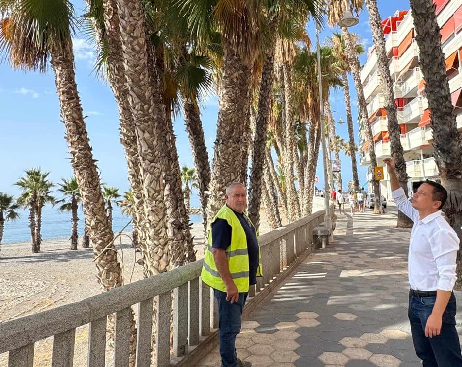 El Ayuntamiento de Almuñécar realiza una poda preventiva en el Paseo de La Caletilla ante la proximidad del castillo de fuegos del 15 de agosto