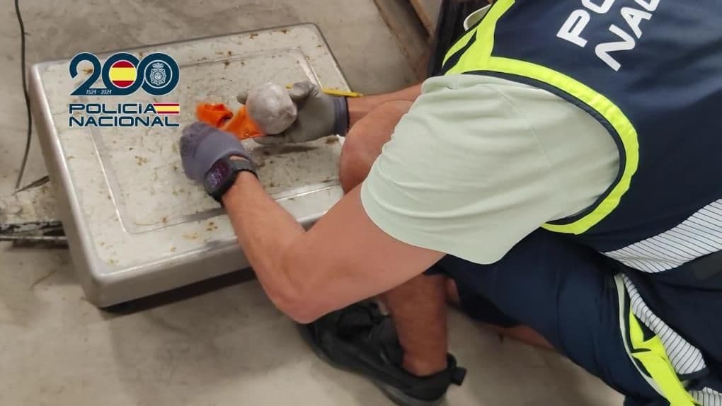 La Policía Nacional intercepta 1.800 kilos de bolas de hachís empaquetadas simulando ser naranjas