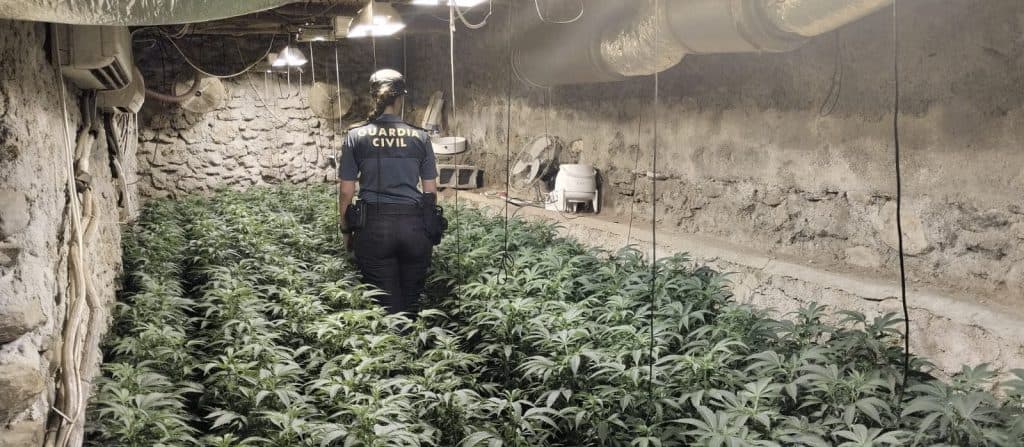 Detenido en Lújar el propietario de una plantación de marihuana en una nave de aperos