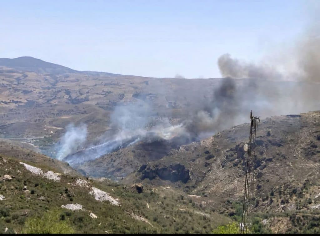 Declarado un incendio forestal en el municipio alpujarreño de Cádiar