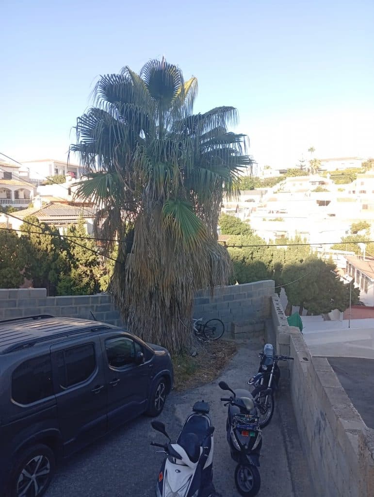 El PSOE denuncia el abandono del barrio de Los Marinos y reclama un plan de limpieza y mantenimiento y reactivar el Centro Sociocultural