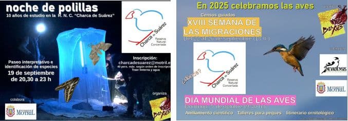La Asociación Buxus inicia el otoño con actividades abiertas a todas las edades