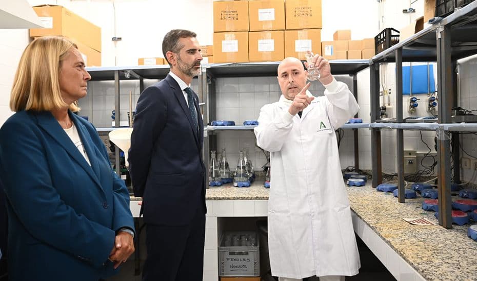 Ramón Fernández-Pacheco visita el Laboratorio de Control de Calidad Ambiental de Motril, «referente nacional» en la protección de la salud pública y la seguridad hídrica