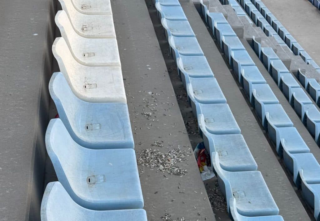 El PSOE denuncia el «lamentable estado» del estadio municipal Francisco Bonet: una imagen que no representa a Almuñécar y La Herradura
