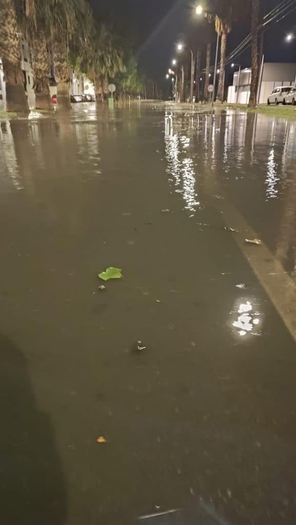 El PSOE exige «una actuación inmediata» en Pueblo Mediterráneo para evitar inundaciones y reparar todos los daños en la vía pública y los jardines