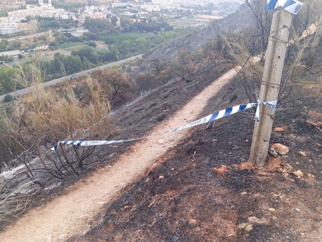 La Policía Adscrita y la BIIF esclarecen el origen del incendio forestal de la Fuente de la Bicha en Granada