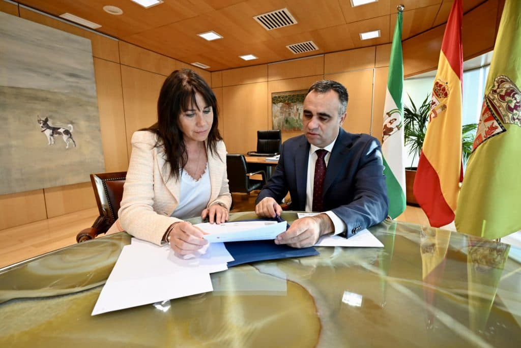 Diputación destinará 1,2 millones de euros a sistemas de videovigilancia en municipios con menos de 20.000 habitantes