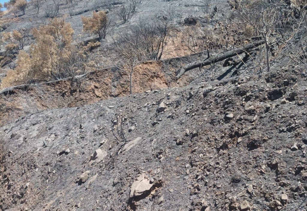 El PSOE pide al PP de Almuñécar «que deje de acusar a la oposición y asuma sus responsabilidades con las familias afectadas por el incendio»
