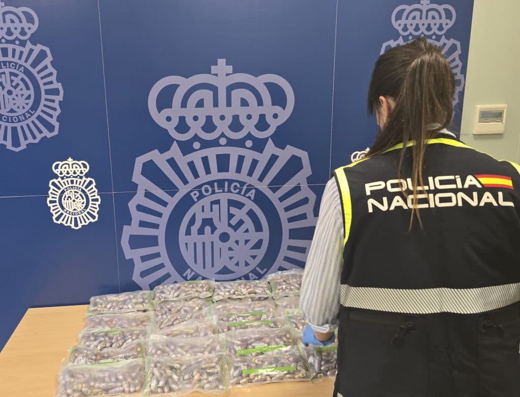 La Policía Nacional realiza en noviembre 14 operaciones en Granada y Motril que se saldan con 36 detenciones, más de 3.300 plantas de marihuana y más de 260 kilos de hachís incautados