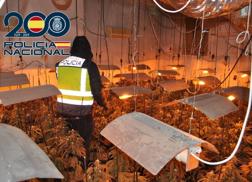 Desmantelada en Granada una plantación de interior incautando más de 300 plantas de marihuana y varias armas blancas