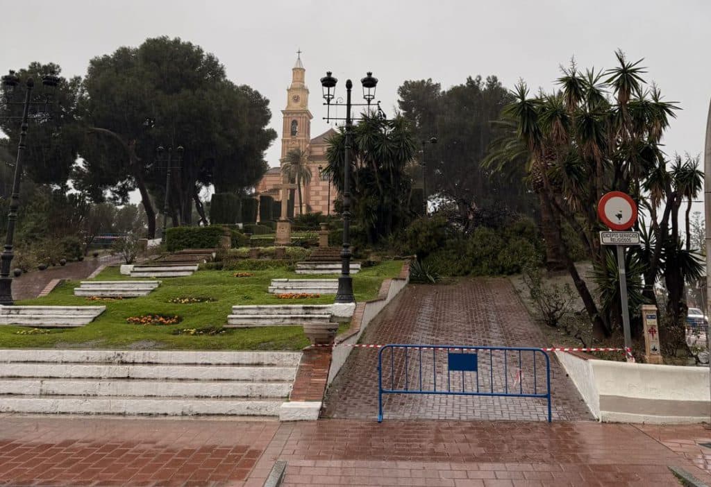 El impacto de la borrasca provoca la caída de uno de los grandes árboles del Cerro de la Virgen de Motril
