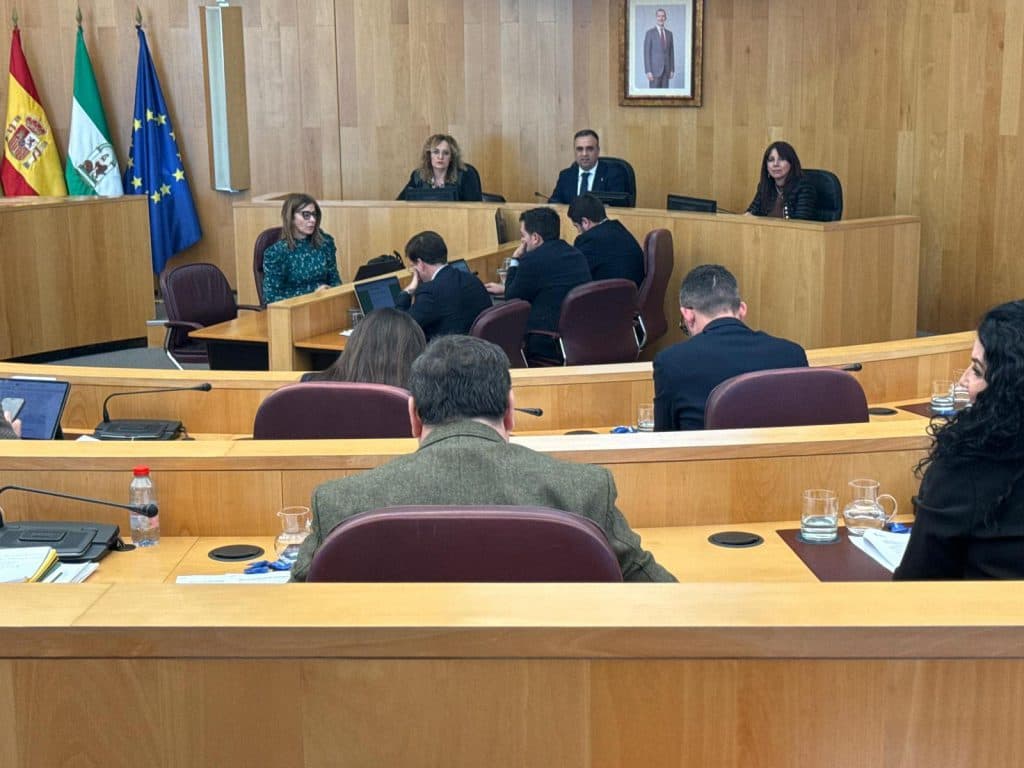 El pleno da luz verde al Plan de la Diputación para paliar los efectos del temporal con una inversión de 44,3 millones