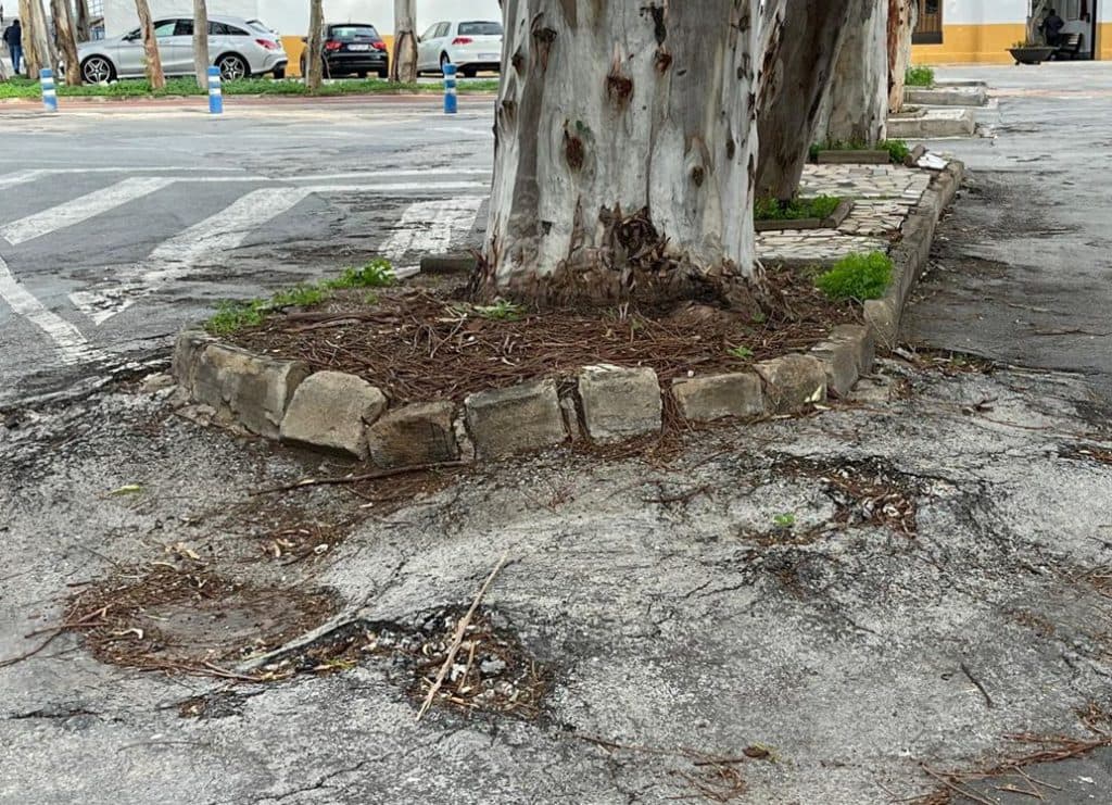 El Grupo Municipal PSOE denuncia el deterioro y la falta de mantenimiento en la entrada del Cementerio Municipal de Motril