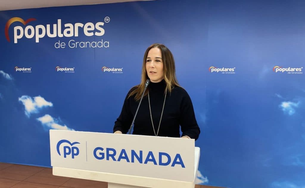 El PP pide al Gobierno la exención del IVA para que las ayudas del temporal de la Diputación lleguen íntegramente a los municipios de Granada