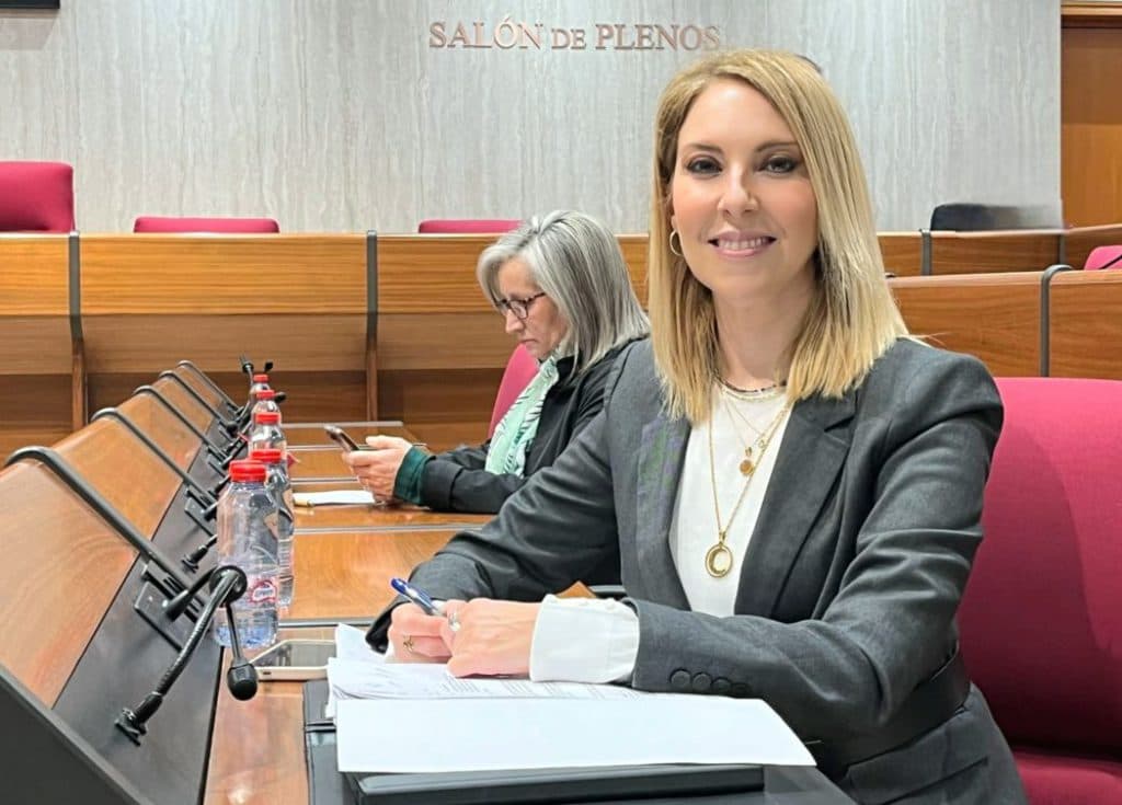 El Grupo Socialista de Motril logra la aprobación unánime de su moción sobre el acceso al cementerio y rechaza la «privatización de servicios públicos»