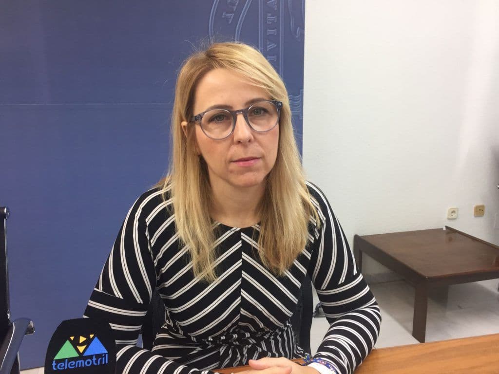IU- Verdes Equo Motril critica «la falta de credibilidad del Gobierno municipal en materia de plazas hoteleras»