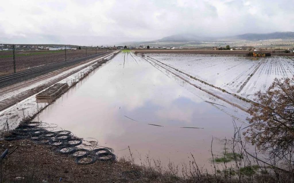 UPA Granada iniciará movilizaciones por la exclusión de cinco comarcas de las ayudas directas para paliar los daños de las borrascas