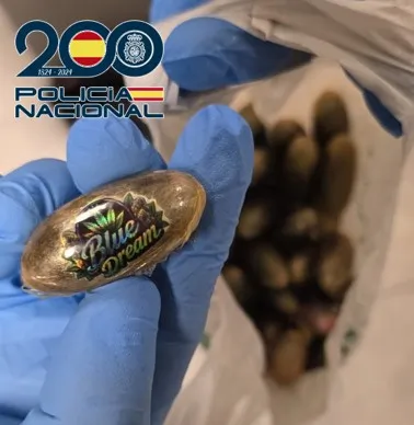 Sorprendido en Motril portando una mochila con 3,5 kilos de bellotas de hachís