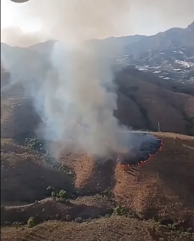 Declarado un incendio forestal en Molvízar