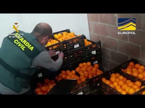 65 PERSONAS DETENIDAS EN 14 OPERACIONES CONTRA EL FRAUDE ALIMENTARIO Y BEBIDAS ALCOHÓLICAS