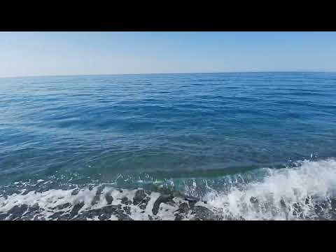 MAR DE LA COSTA TROPICAL