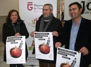 La Diputación somete a debate cómo mejorar la gestión del patrimonio cultural de Granada